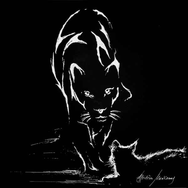 sa 39 Heidrun MalComes CATS